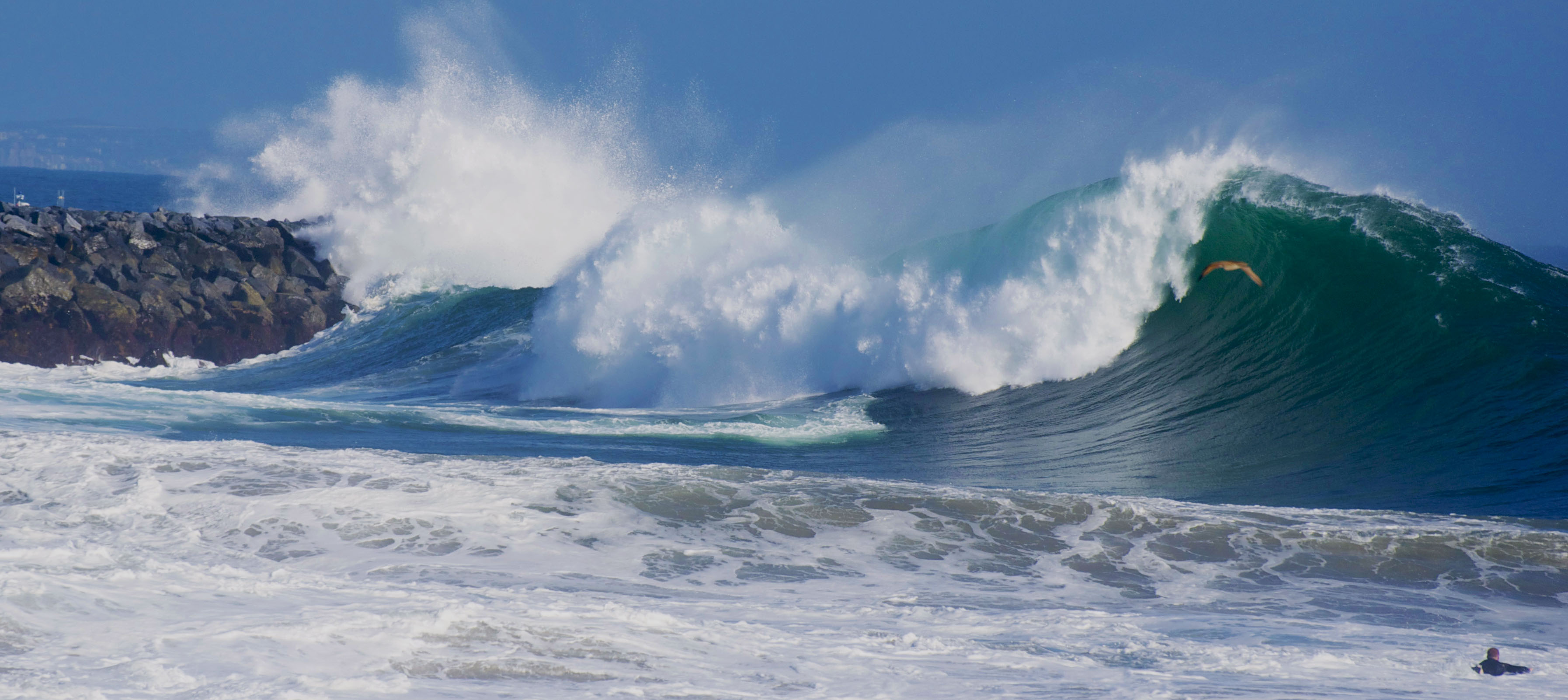 Big Swell at the Wedge
